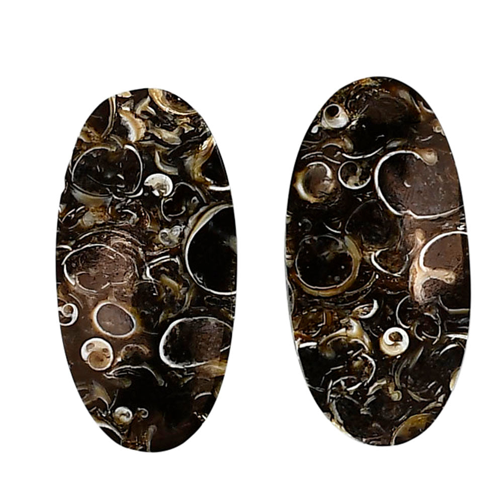 Turtella Jasper Pair 14.5x28.5x4.5 mm Oval Shape Polished Gemstone LS70-04157