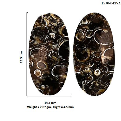 Turtella Jasper Pair 14.5x28.5x4.5 mm Oval Shape Polished Gemstone LS70-04157