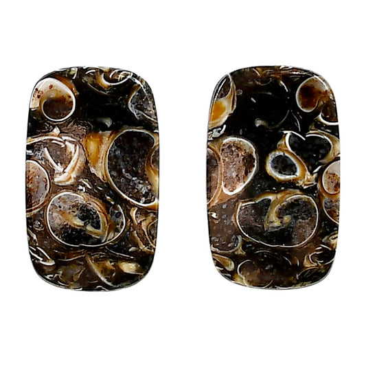 Turtella Jasper Pair 13.3x22.2x4 mm Cushion Shape Polished Gemstone LS70-04158