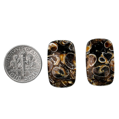 Turtella Jasper Pair 13.3x22.2x4 mm Cushion Shape Polished Gemstone LS70-04158