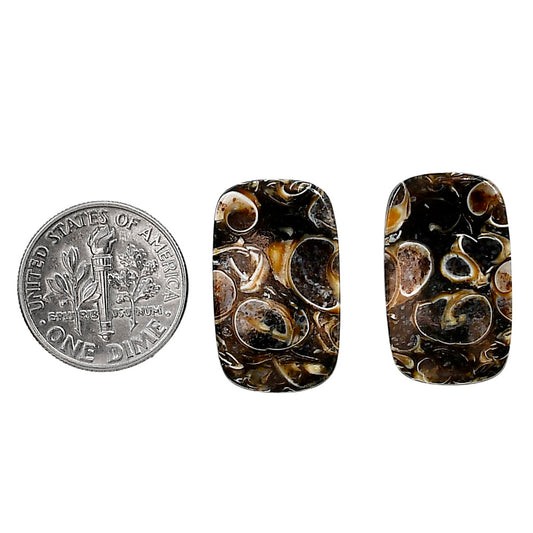 Turtella Jasper Pair 13.3x22.2x4 mm Cushion Shape Polished Gemstone LS70-04158