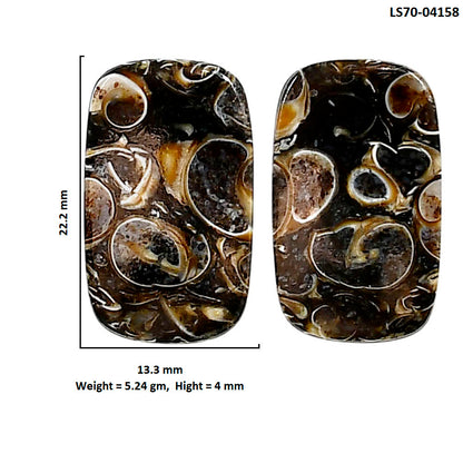Turtella Jasper Pair 13.3x22.2x4 mm Cushion Shape Polished Gemstone LS70-04158