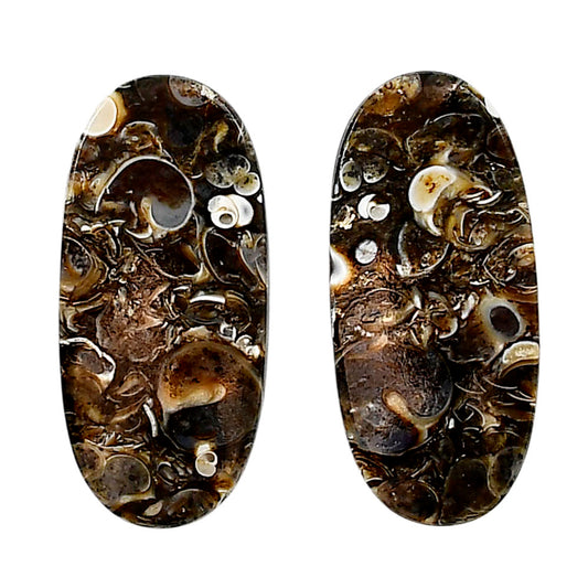 Turtella Jasper Pair 14.5x31.6x3.8 mm Oval Shape Polished Gemstone LS70-04159