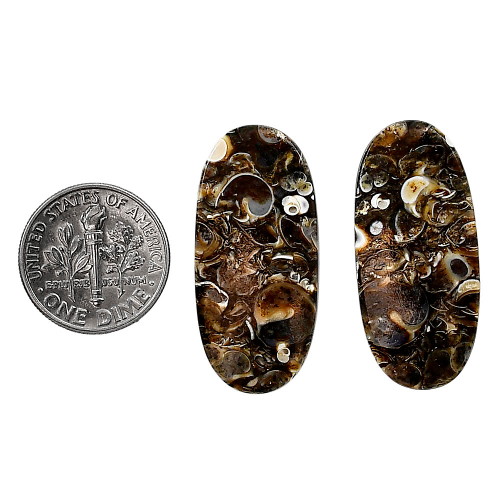 Turtella Jasper Pair 14.5x31.6x3.8 mm Oval Shape Polished Gemstone LS70-04159