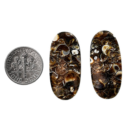 Turtella Jasper Pair 14.5x31.6x3.8 mm Oval Shape Polished Gemstone LS70-04159