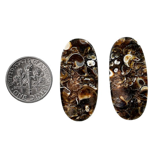 Turtella Jasper Pair 14.5x31.6x3.8 mm Oval Shape Polished Gemstone LS70-04159
