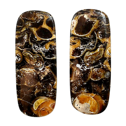 Turtella Jasper Pair 12.6x32.3x4 mm Oval Shape Polished Gemstone LS70-04160
