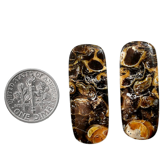 Turtella Jasper Pair 12.6x32.3x4 mm Oval Shape Polished Gemstone LS70-04160