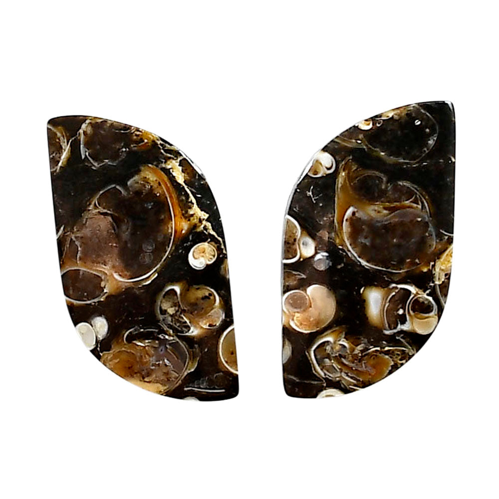 Turtella Jasper Pair 14x27.6x3.5 mm Fancy Shape Polished Gemstone LS70-04162