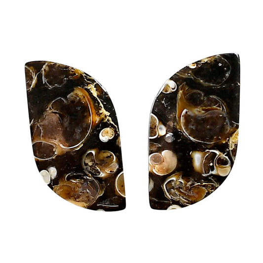 Turtella Jasper Pair 14x27.6x3.5 mm Fancy Shape Polished Gemstone LS70-04162