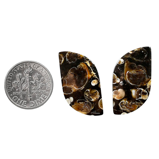 Turtella Jasper Pair 14x27.6x3.5 mm Fancy Shape Polished Gemstone LS70-04162
