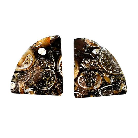 Turtella Jasper Pair 16.6x19x3.5 mm Fancy Shape Polished Gemstone LS70-04163