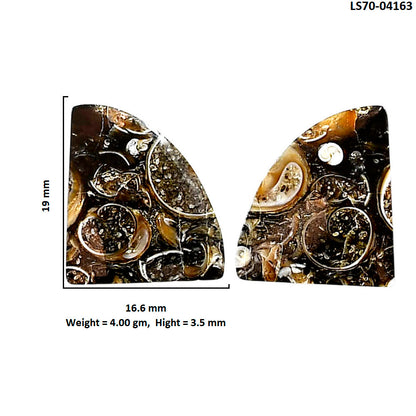 Turtella Jasper Pair 16.6x19x3.5 mm Fancy Shape Polished Gemstone LS70-04163