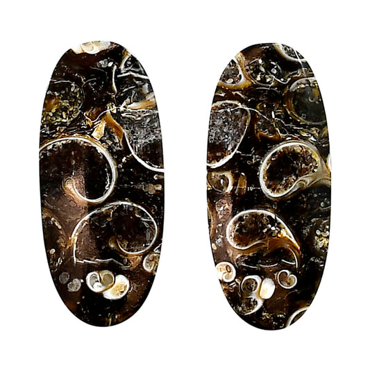 Turtella Jasper Pair 13.2x30x4 mm Oval Shape Polished Gemstone LS70-04165