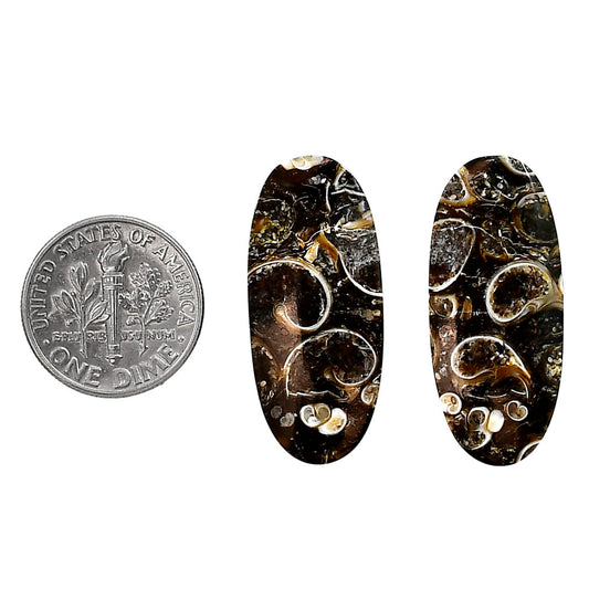 Turtella Jasper Pair 13.2x30x4 mm Oval Shape Polished Gemstone LS70-04165