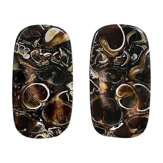 Turtella Jasper Pair 14x25.9x3.5 mm Cushion Shape Polished Gemstone LS70-04166