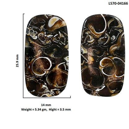 Turtella Jasper Pair 14x25.9x3.5 mm Cushion Shape Polished Gemstone LS70-04166