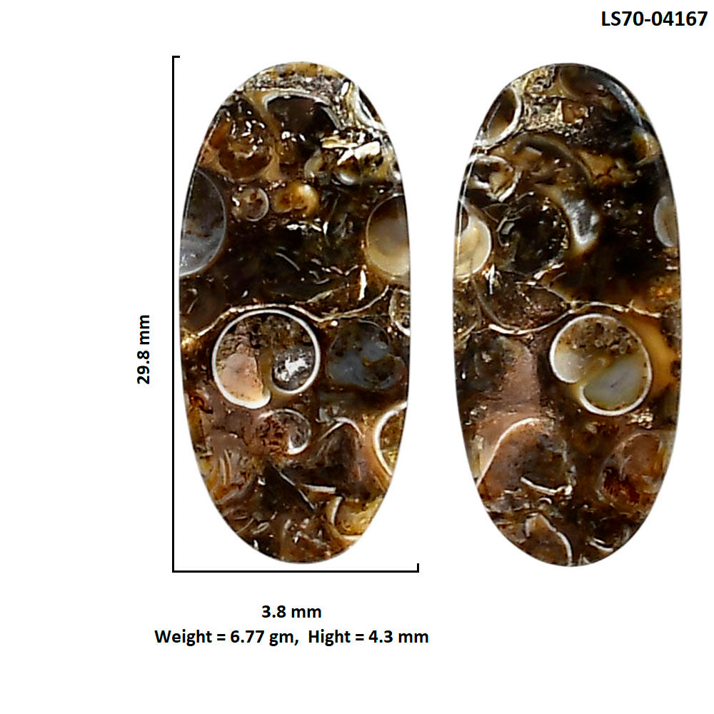 Turtella Jasper Pair 3.8x29.8x4.3 mm Oval Shape Polished Gemstone LS70-04167