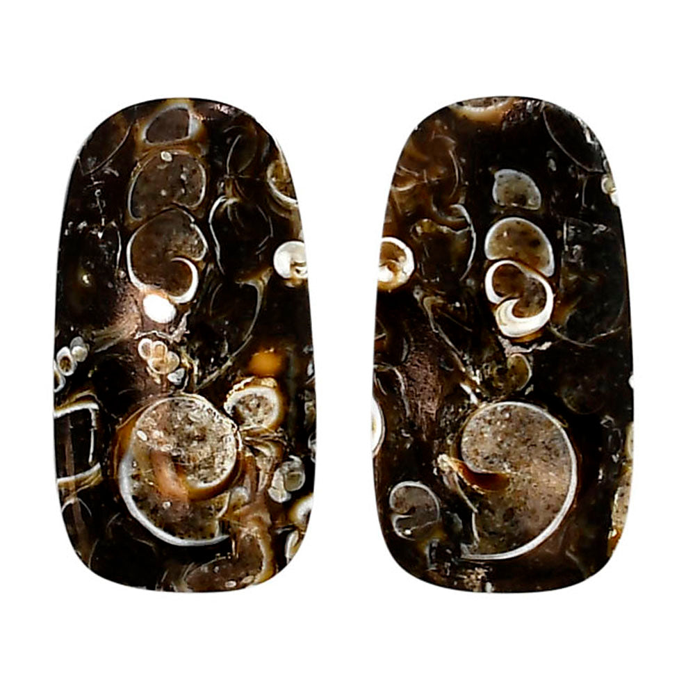 Turtella Jasper Pair 15.7x29.5x4 mm Cushion Shape Polished Gemstone LS70-04169