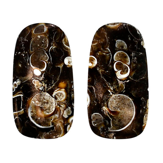 Turtella Jasper Pair 15.7x29.5x4 mm Cushion Shape Polished Gemstone LS70-04169