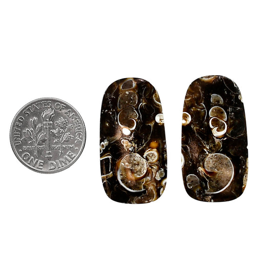 Turtella Jasper Pair 15.7x29.5x4 mm Cushion Shape Polished Gemstone LS70-04169
