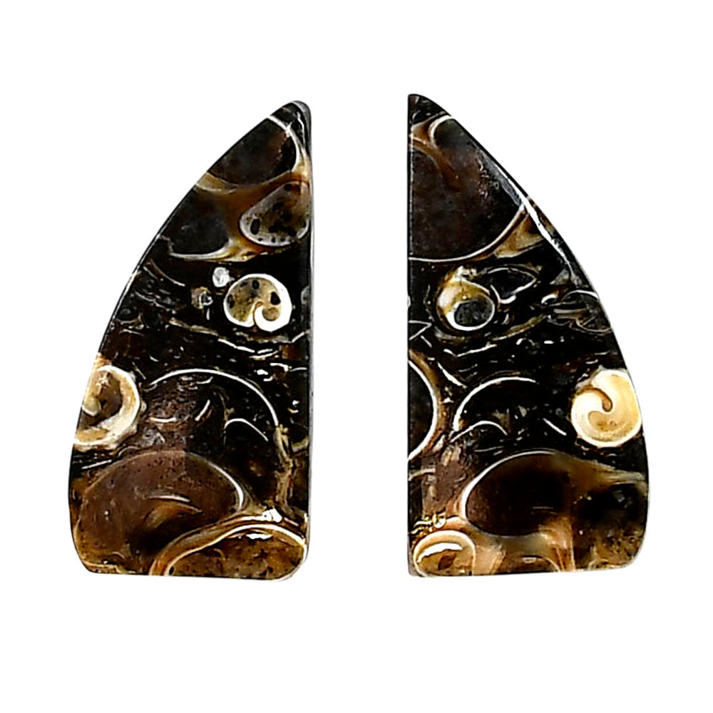 Turtella Jasper Pair 12.1x24.2x4.3 mm Fancy Shape Polished Gemstone LS70-04170