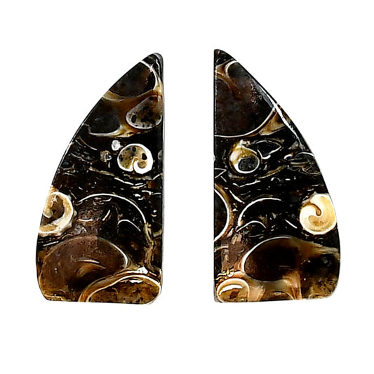 Turtella Jasper Pair 12.1x24.2x4.3 mm Fancy Shape Polished Gemstone LS70-04170