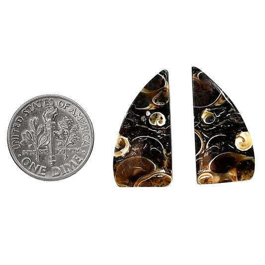 Turtella Jasper Pair 12.1x24.2x4.3 mm Fancy Shape Polished Gemstone LS70-04170