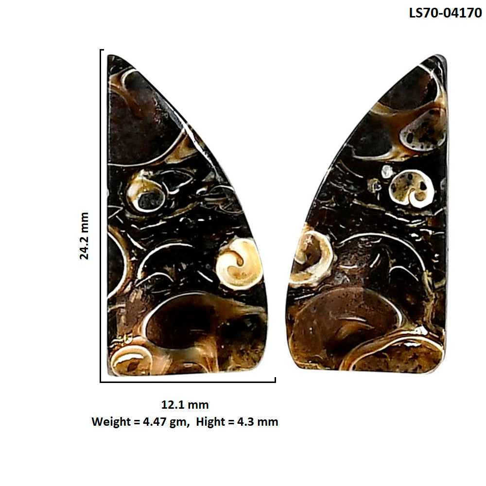 Turtella Jasper Pair 12.1x24.2x4.3 mm Fancy Shape Polished Gemstone LS70-04170
