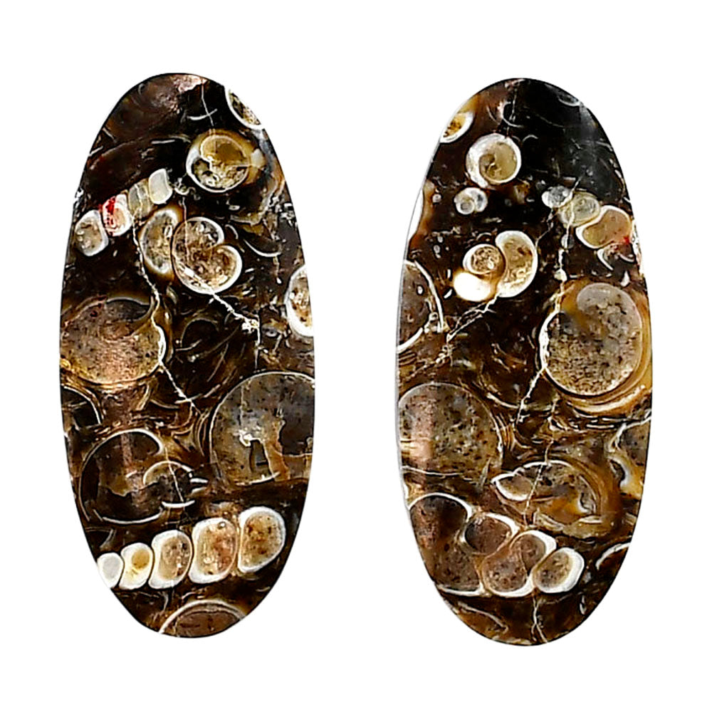 Turtella Jasper Pair 14.5x31.6x5.5 mm Oval Shape Polished Gemstone LS70-04172