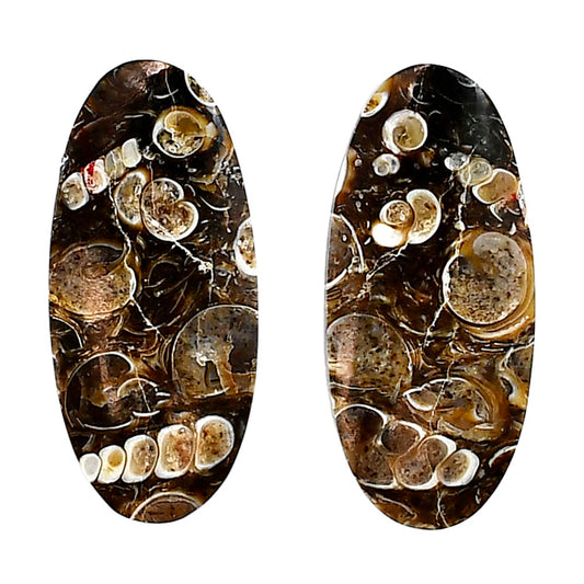 Turtella Jasper Pair 14.5x31.6x5.5 mm Oval Shape Polished Gemstone LS70-04172