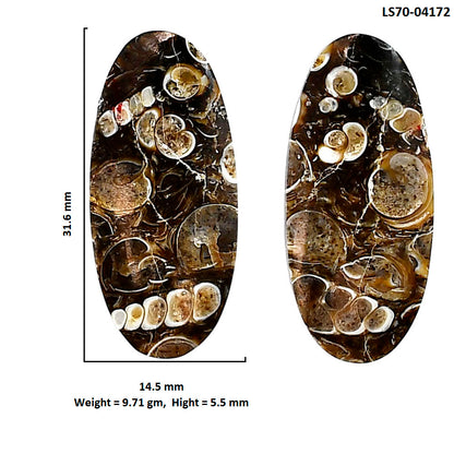 Turtella Jasper Pair 14.5x31.6x5.5 mm Oval Shape Polished Gemstone LS70-04172