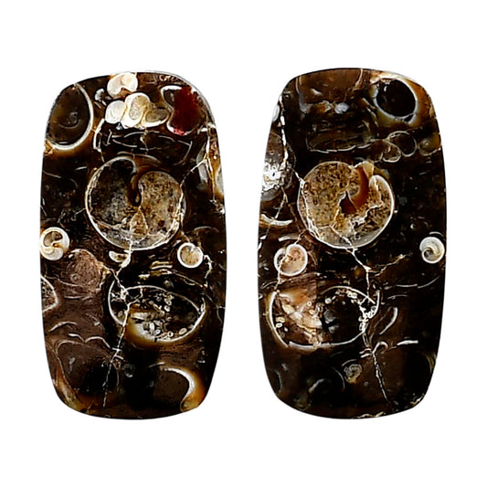 Turtella Jasper Pair 14.2x26.3x3.3 mm Cushion Shape Polished Gemstone LS70-04173