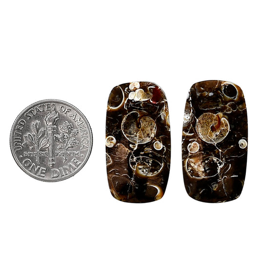 Turtella Jasper Pair 14.2x26.3x3.3 mm Cushion Shape Polished Gemstone LS70-04173
