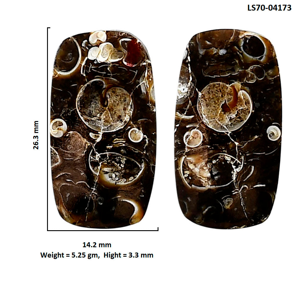 Turtella Jasper Pair 14.2x26.3x3.3 mm Cushion Shape Polished Gemstone LS70-04173