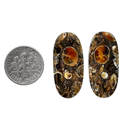 Turtella Jasper Pair 13.3x29.75x4 mm Oval Shape Polished Gemstone LS70-04174