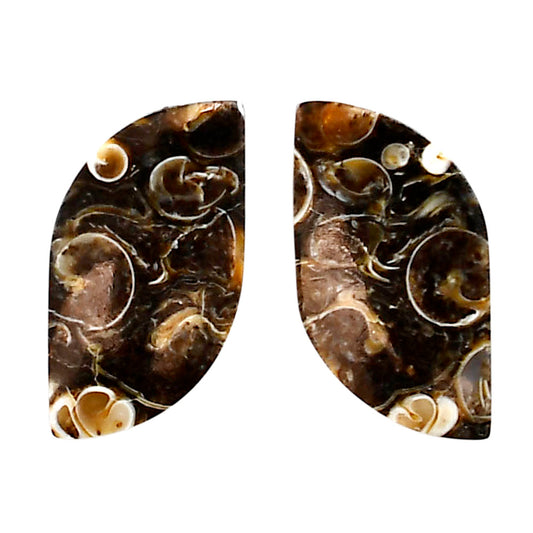 Turtella Jasper Pair 14x27.7x3.3 mm Fancy Shape Polished Gemstone LS70-04175