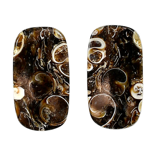 Turtella Jasper Pair 13.3x24.4x4 mm Cushion Shape Polished Gemstone LS70-04176