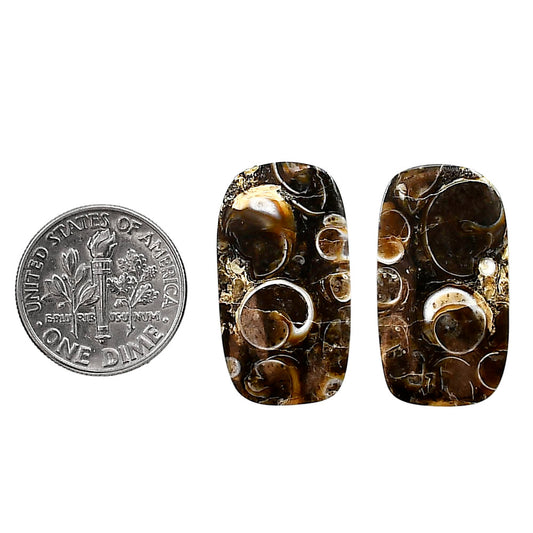 Turtella Jasper Pair 14x25.15x4 mm Cushion Shape Polished Gemstone LS70-04178