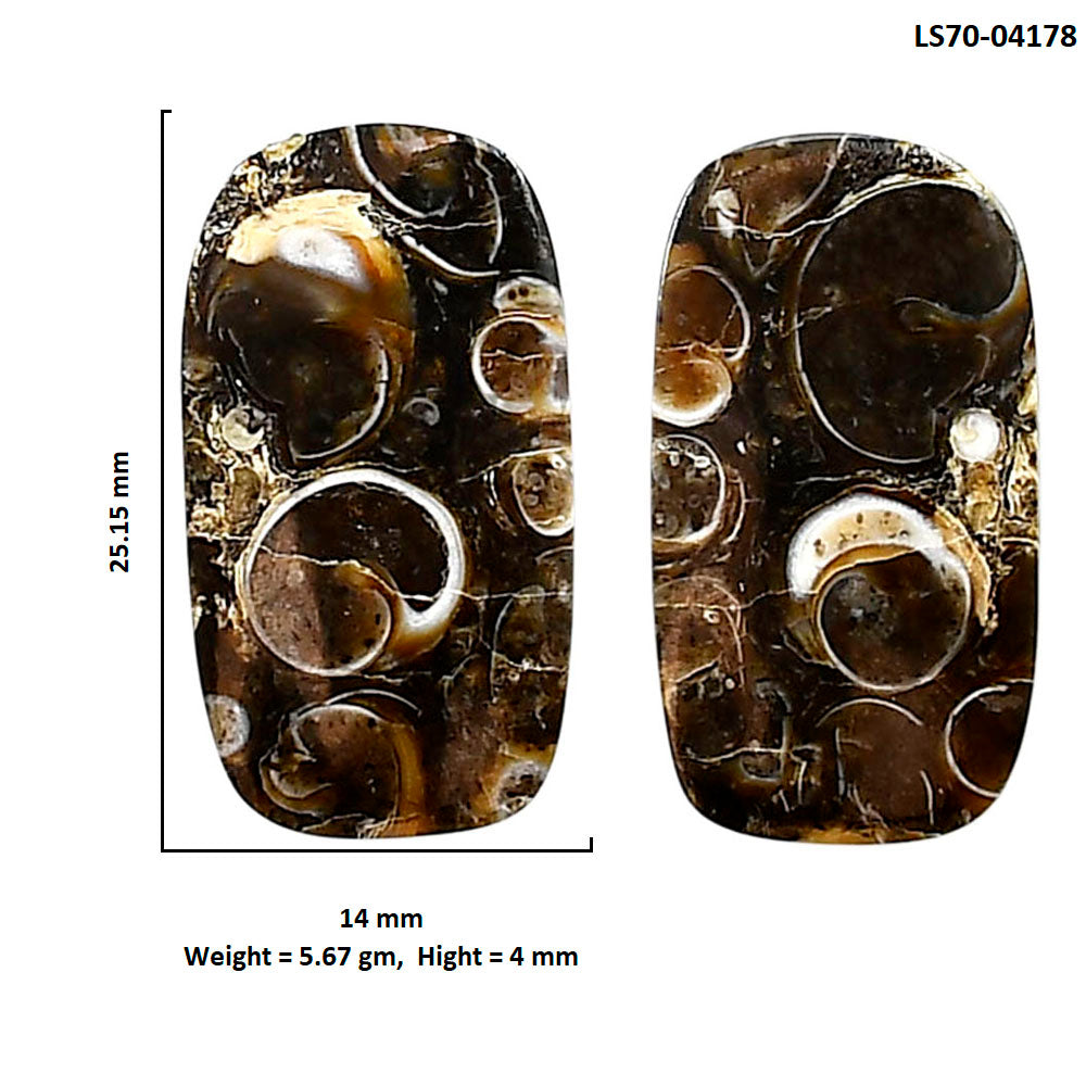Turtella Jasper Pair 14x25.15x4 mm Cushion Shape Polished Gemstone LS70-04178