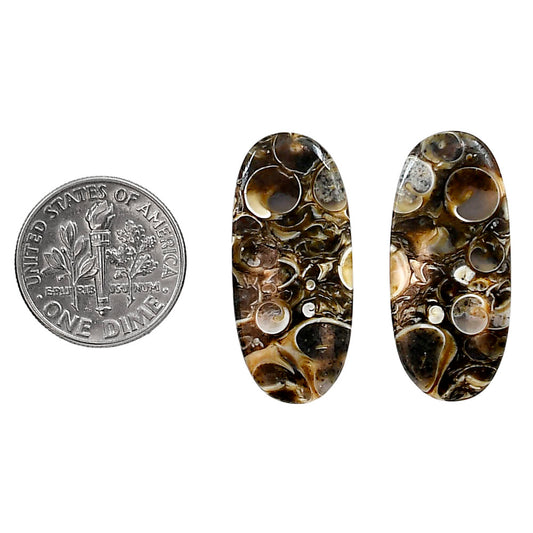 Turtella Jasper Pair 12.7x28x4 mm Oval Shape Polished Gemstone LS70-04179