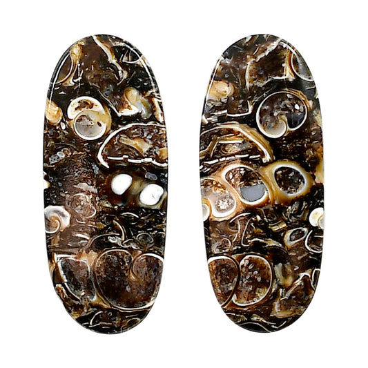 Turtella Jasper Pair 13.5x32x4 mm Oval Shape Polished Gemstone LS70-04181