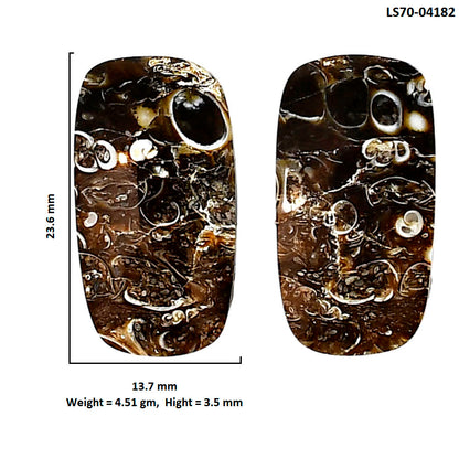 Turtella Jasper Pair 13.7x23.6x3.5 mm Cushion Shape Polished Gemstone LS70-04182