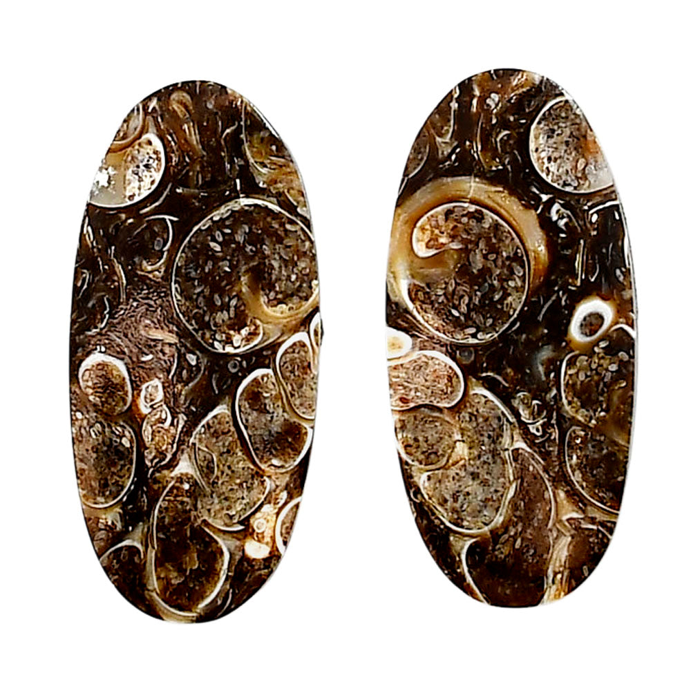 Turtella Jasper Pair 13.5x29.35x3.7 mm Oval Shape Polished Gemstone LS70-04183