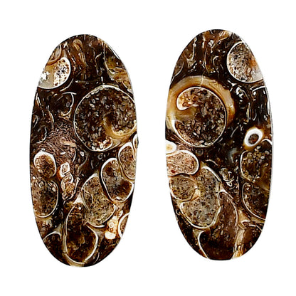 Turtella Jasper Pair 13.5x29.35x3.7 mm Oval Shape Polished Gemstone LS70-04183