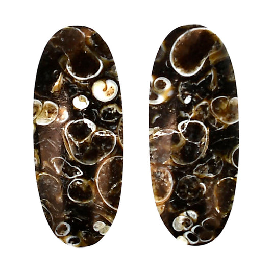 Turtella Jasper Pair 14.5x34.8x4 mm Oval Shape Polished Gemstone LS70-04184