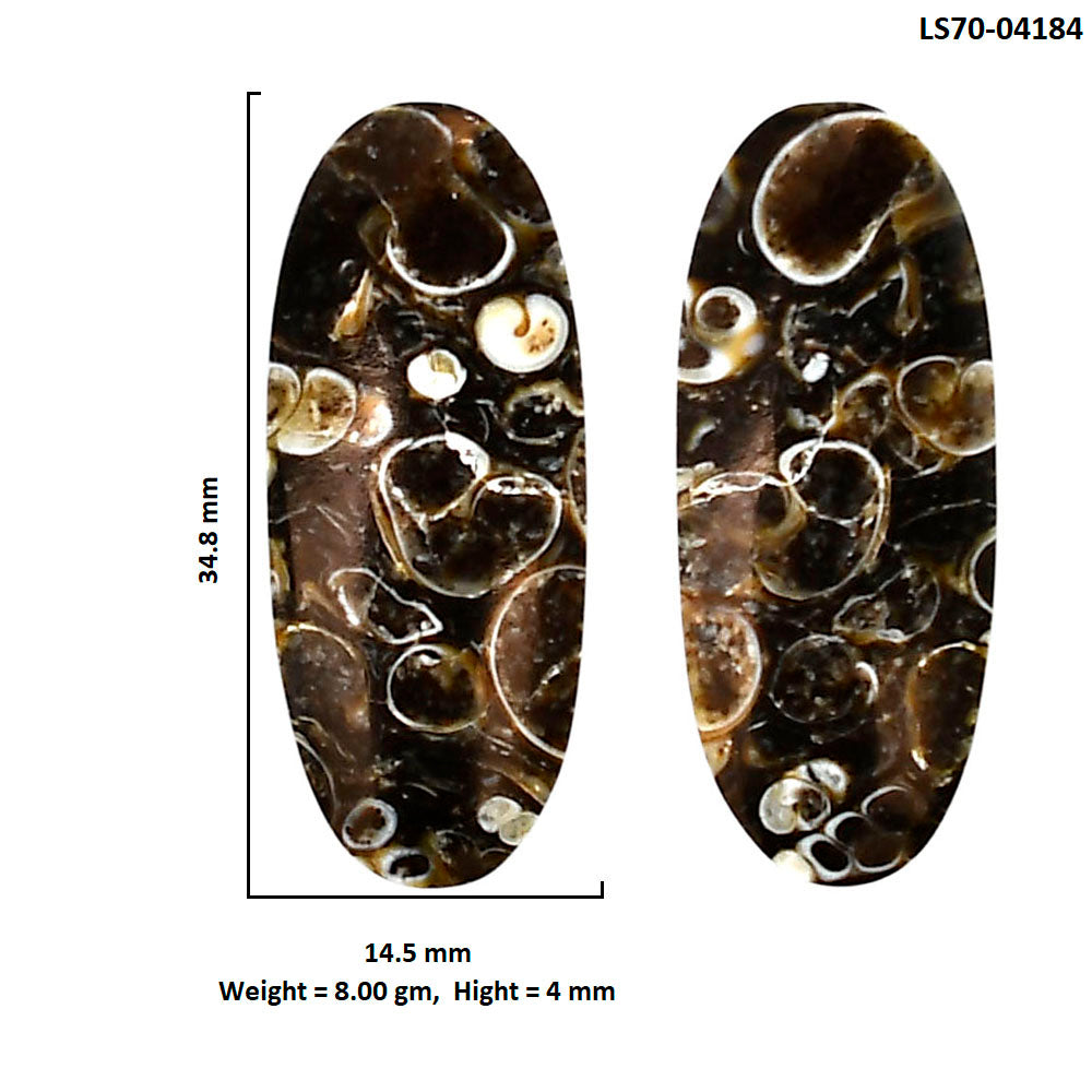 Turtella Jasper Pair 14.5x34.8x4 mm Oval Shape Polished Gemstone LS70-04184