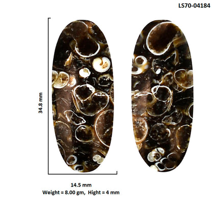Turtella Jasper Pair 14.5x34.8x4 mm Oval Shape Polished Gemstone LS70-04184