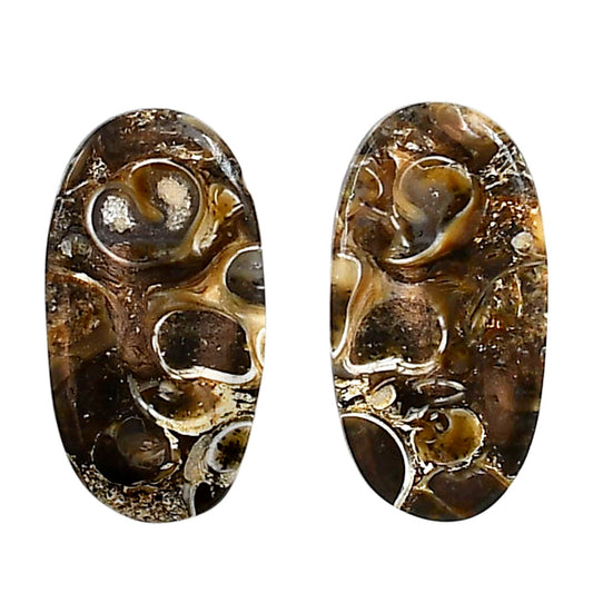 Turtella Jasper Pair 13.3x25.2x4 mm Oval Shape Polished Gemstone LS70-04186