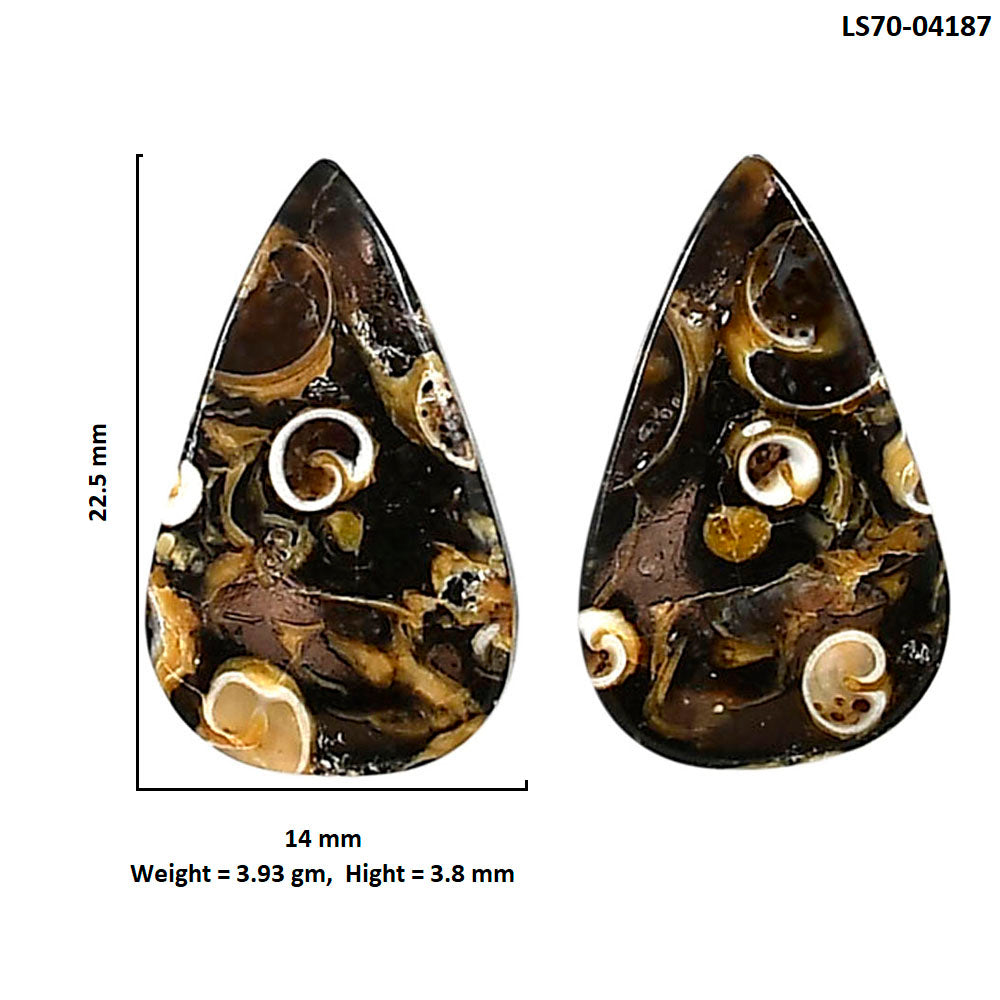 Turtella Jasper Pair 14x22.5x3.8 mm Pear Shape Polished Gemstone LS70-04187
